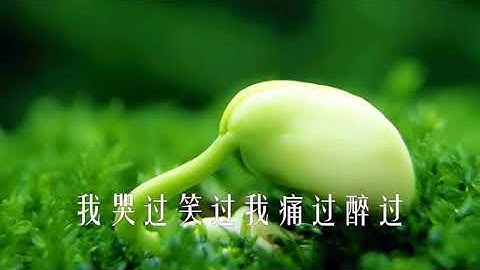 2018陈星新歌《决不回头》