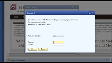 How to Setup a New User in SAP Business One.mp4