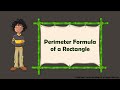 Understanding the Perimeter of a Rectangle