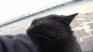 DSCF4316