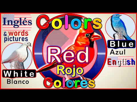 Los Colores En Inglés Palabras Iniciales En Inglés Vocabulario Básico En Inglés