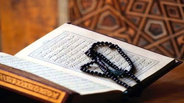 القارئ   أيمن أحمد الديب   سورة الحجرات