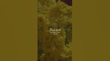 33 32-34 #ياسر_الدوسري #سورة_الاحزاب #Yasser Al Dosary  #Surat_Al-Ahzab
