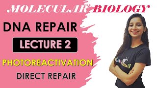Photoreactivation Repair| Direct Repair|Molecular Biology|Photolyase|Dna Repair System Lecture 2|