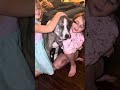Alpine video