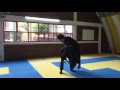 Bujinkan Ukemi Taihenjutsu 武神館受身体変術 Kiten 気転 handspring