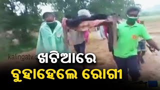 Patient Forced To Be Carried On Cot Due To Bad Roads In Keonjhar || Kalinga TV