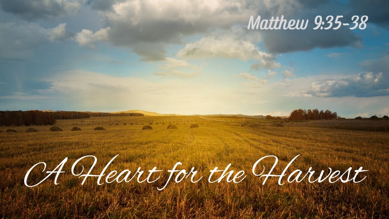 A Heart For The Harvest Matthew 9 35 38 By Tim Cantrell YouTube A Heart For The Harvest Matthew 9 35 38 By Tim Cantrell YouTube