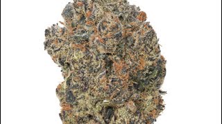 Tokyo Sunset Strain Review : StrainAfterStrain Reviews 
