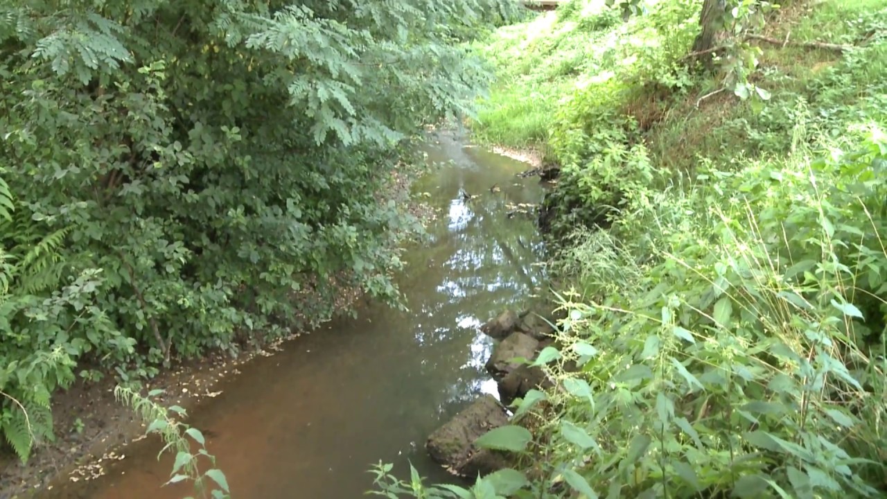 Zakladi LAS Goričko - Življenjski prostor vidre, Gornji Petrovci