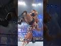 Rock Angle And Undertaker Hit Each Other S Finishers