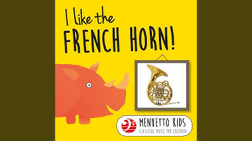 Concerto for 2 Horns and Orchestra in D Major, TWV 52:D2: I. Spiritoso - Adagio