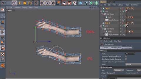 Cagedeformer scale invariance