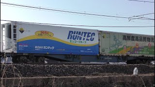 EF510-501牽引高速貨物【4K】信越本線上り4060ﾚ
