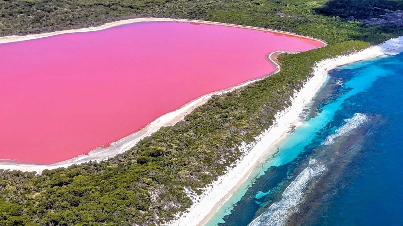 lake hillier helicopter tour price