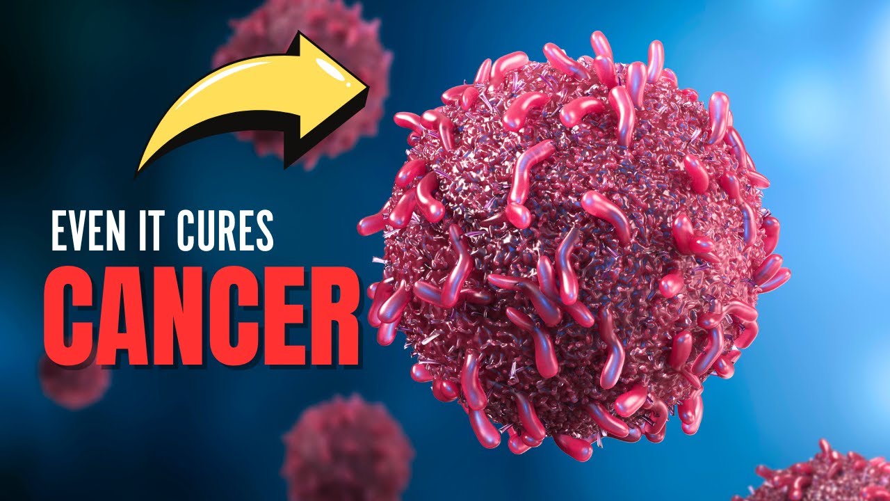 Why Don't Everyone just Eating LESS?