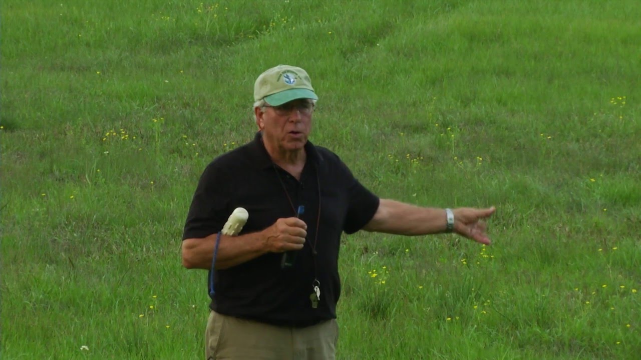 Having Fun with "Back to Homeplate"