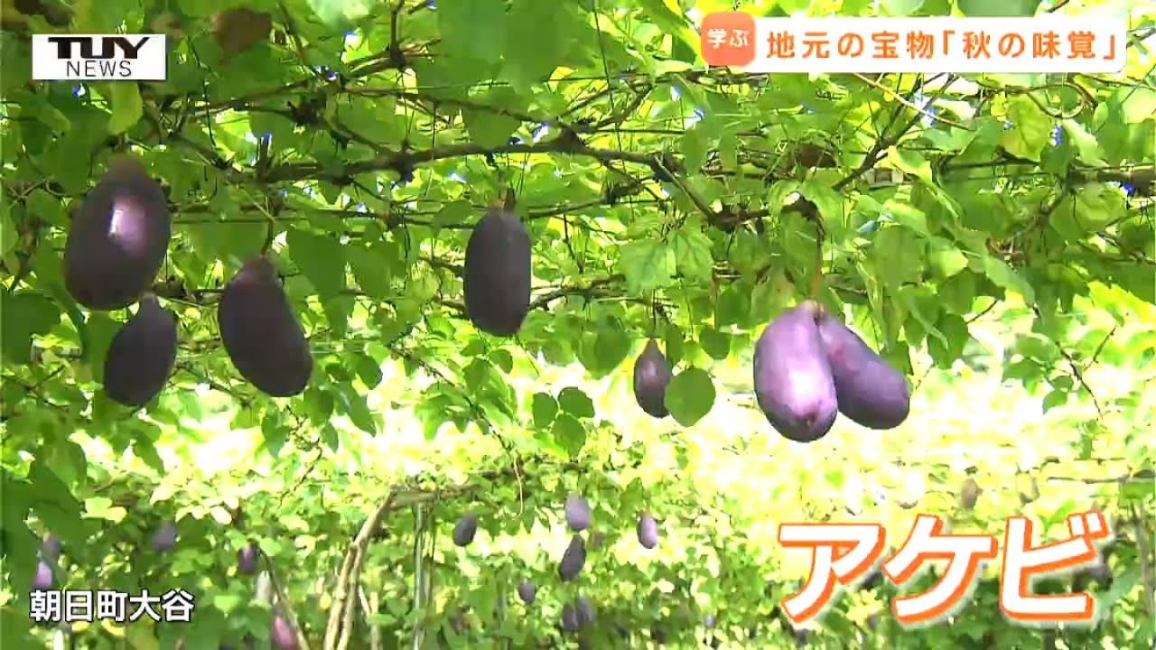 Satisfied with the local flavor! Junior high school students learn
