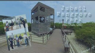 Jubail Mangrove Park - Abu Dhabi | lovester1ps