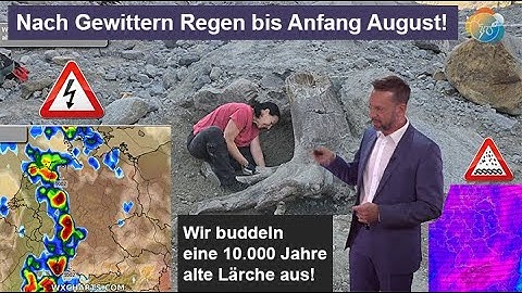Nach Gewittern mit Unwettergefahr sehr nass bis Anfang August. Wettervorhersage 20.-27.07.2025. Baum