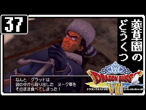 #37【ドラクエ8】はじめてのドラゴンクエストⅧ～薬草園の洞窟～【実況】
