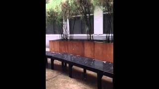 Hail stones at Bukit Batok Crescent