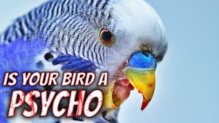 Is your Bird a Psycho?