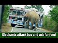 Elephants attack bus and ask for food | हाथियों ने बस पर हमला किया और खाना मांगा