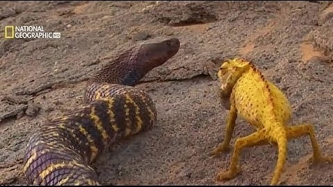 SCP-093 Red Sea Object (All tests and Recovered Materials Logs) | Object Class Euclid