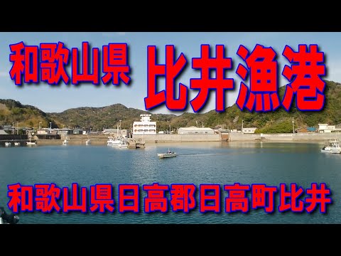 #173和歌山県比井漁港投げサビキ釣り阪和自動車道和歌山IC海南IC有田IC広川IC吉備湯浅PA川辺ICファミリーマート日高萩原店内原駅湯浅御坊道路国道42号足場の良い車横付け釣り出来ますイカ墨跡多数