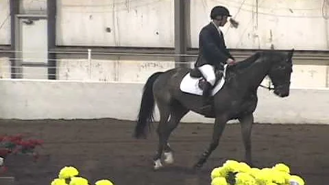 Caillou & Michael Pegg Grand Prix Win