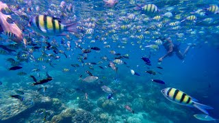 Snorkelling in Thailand October 2025