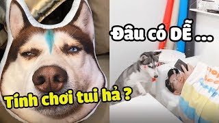 Thấy HIỀN cái ăn hiếp NGÁO hoài ha, trả giá liền...| Yêu Lu Official