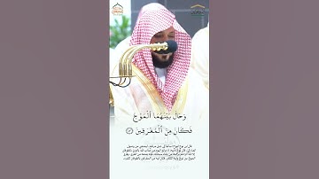 (قال لا عاصم اليوم من أمر الله) تلاوة خاشعة من فضيلة الشيخ د. ماهر المعيقلي