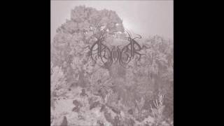 Arvorar - Aimless