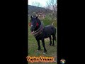 Vajtin Vranac