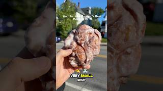 Hunt for New England’s Best Donuts - Pt. 7