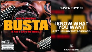 Busta Rhymes, Mariah Carey - I Know What You Want ft. Flipmode Squad  (432Hz) Resimi