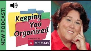 Keeping You Organized Podcast Preview 029