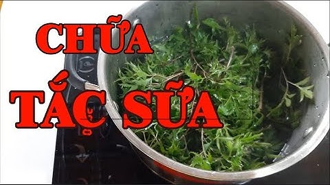Chữa tắc tia sữa bằng bài thuốc dân gian HIỆU QUẢ NHANH CHÓNG