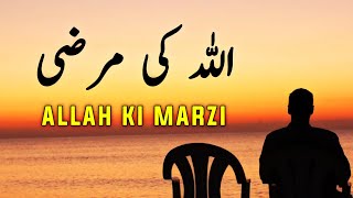 Ek Tere ALLAH Ki Marzi He | Beautiful Spiritual Quotes | Listen the Islam Q.K