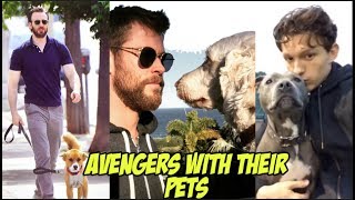 Avengers: Endgame Cast With Their Pets -  Cute and adorable Animals with The MCU Cast