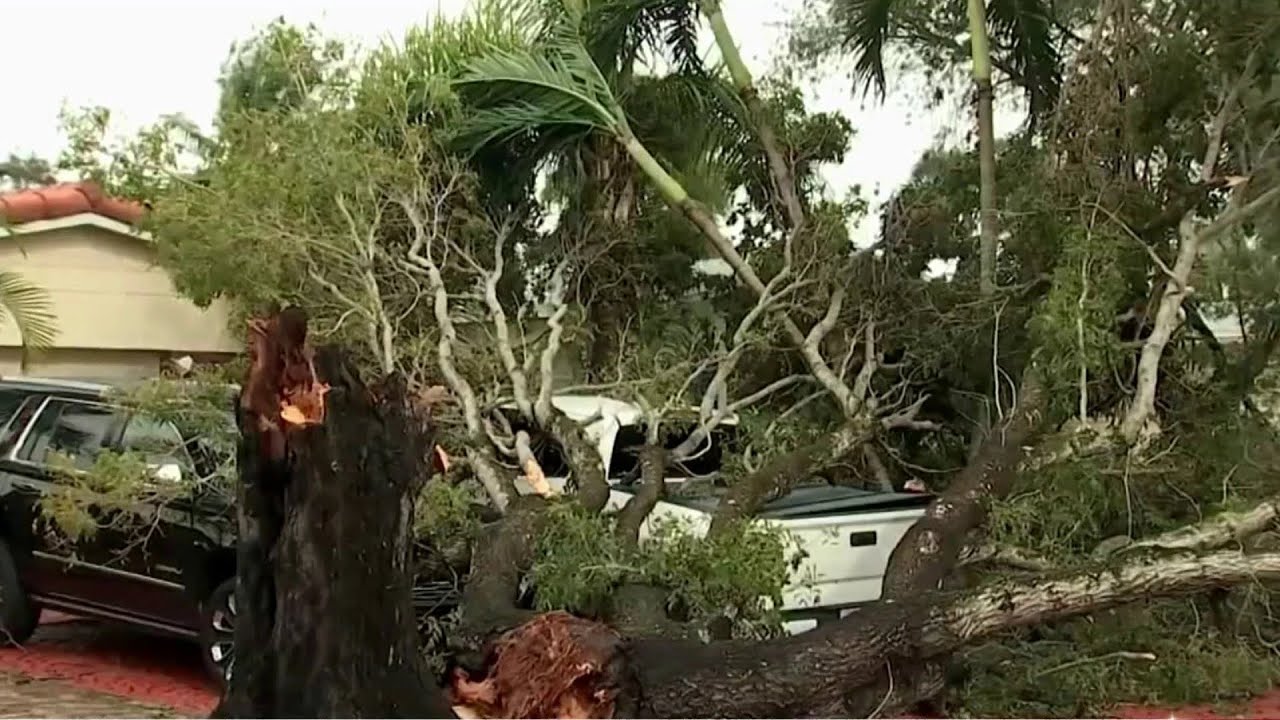 Broward Residents Cleaning Up After Tornadoes Brought by Ian - YouTube