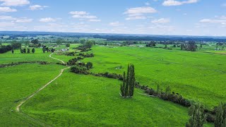 4193 Galatea Road, Galatea, Bay of Plenty