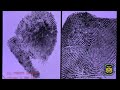 National Forensic Science Week - Latent Prints