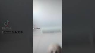 Зубной протез бабочка. Удобно. Не дорого. Прикольно..