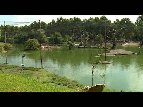 დღეს შეკვეთილში   დენდროლოგიური პარკი გაიხსნ 15 07 20