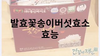 발효 꽃송이버섯 효소 효능 궁금하다면? 효과와 활용법 총정리