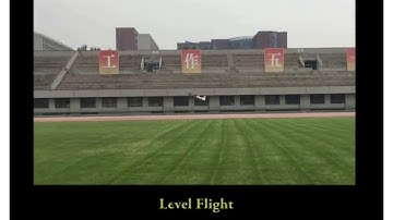 Adaptive Attitude Control for a Tail-Sitter UAV with Single Thrust-Vectored Propeller