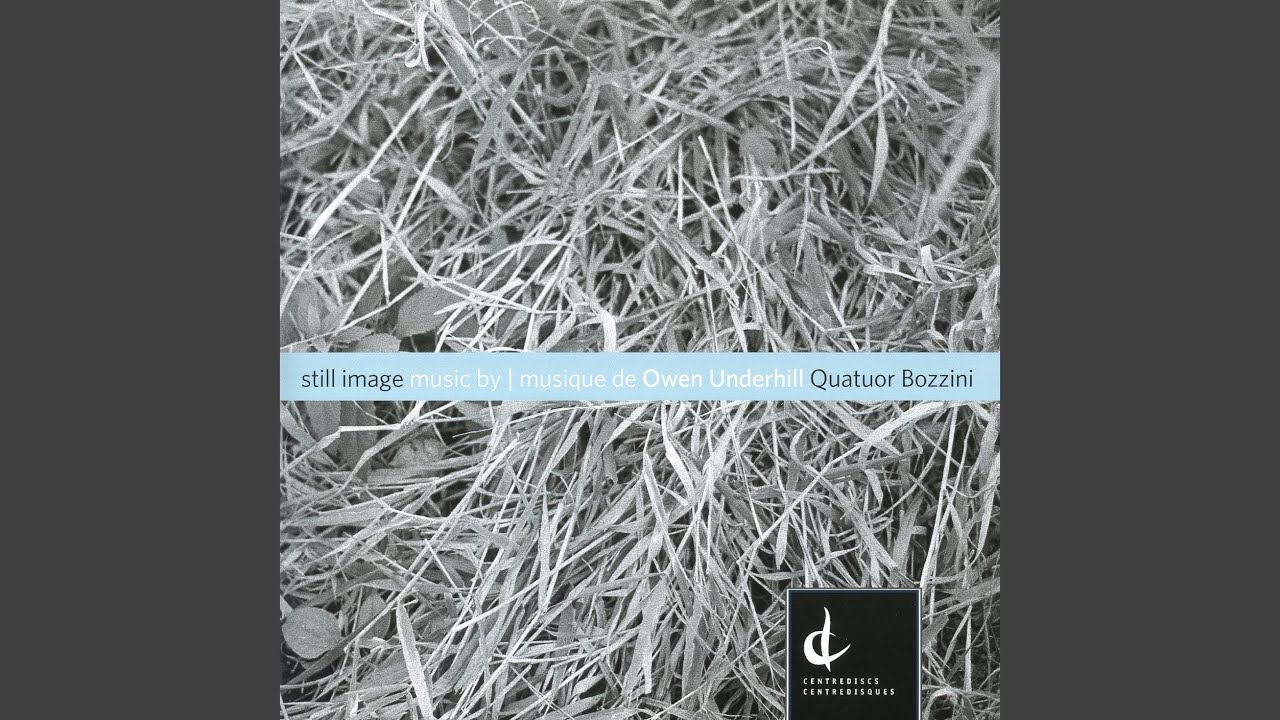 Watch String Quartet No. 4, "The Night" on YouTube Watch String Quartet No. 4, "The Night" on YouTube